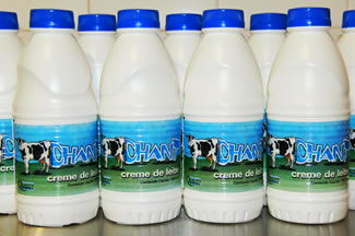Creme de leite fresco